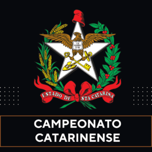 Tabela do Campeonato Catarinense no Excel