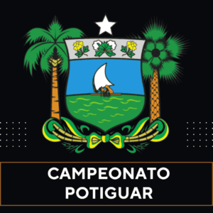 Tabela do Campeonato Potiguar no Excel