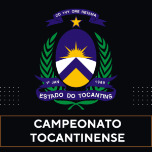 Tabela do Campeonato Tocantinense no Excel