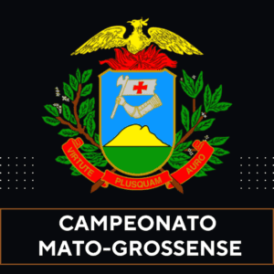 Tabela do Campeonato Mato-Grossense no Excel