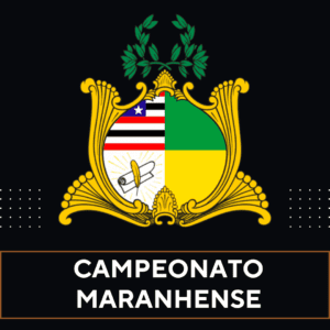 Tabela do Campeonato Maranhense no Excel